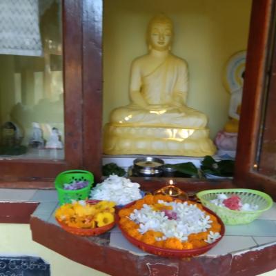 Whatsapp Image 2022 11 18 At 20.44.07 Copy 2