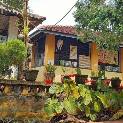 Whatsapp Image 2023 03 01 At 10.31.13