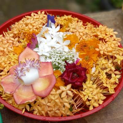 Whatsapp Image 2023 03 01 At 10.32.20 Copy