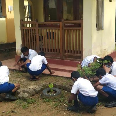 Whatsapp Image 2023 03 01 At 11.30.52